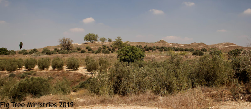 Tel Gezer on the horizon