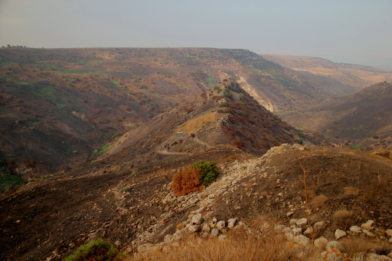 Gamla was settled on a steep hill in the middle of a wadi. 