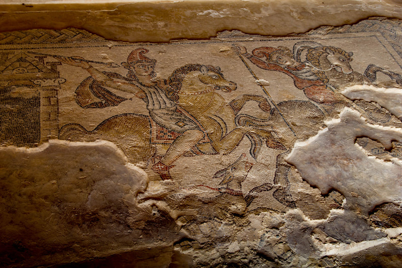Intricate Mosaics at Sepphoris. 